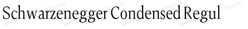 Schwarzenegger Condensed Regular字体转换